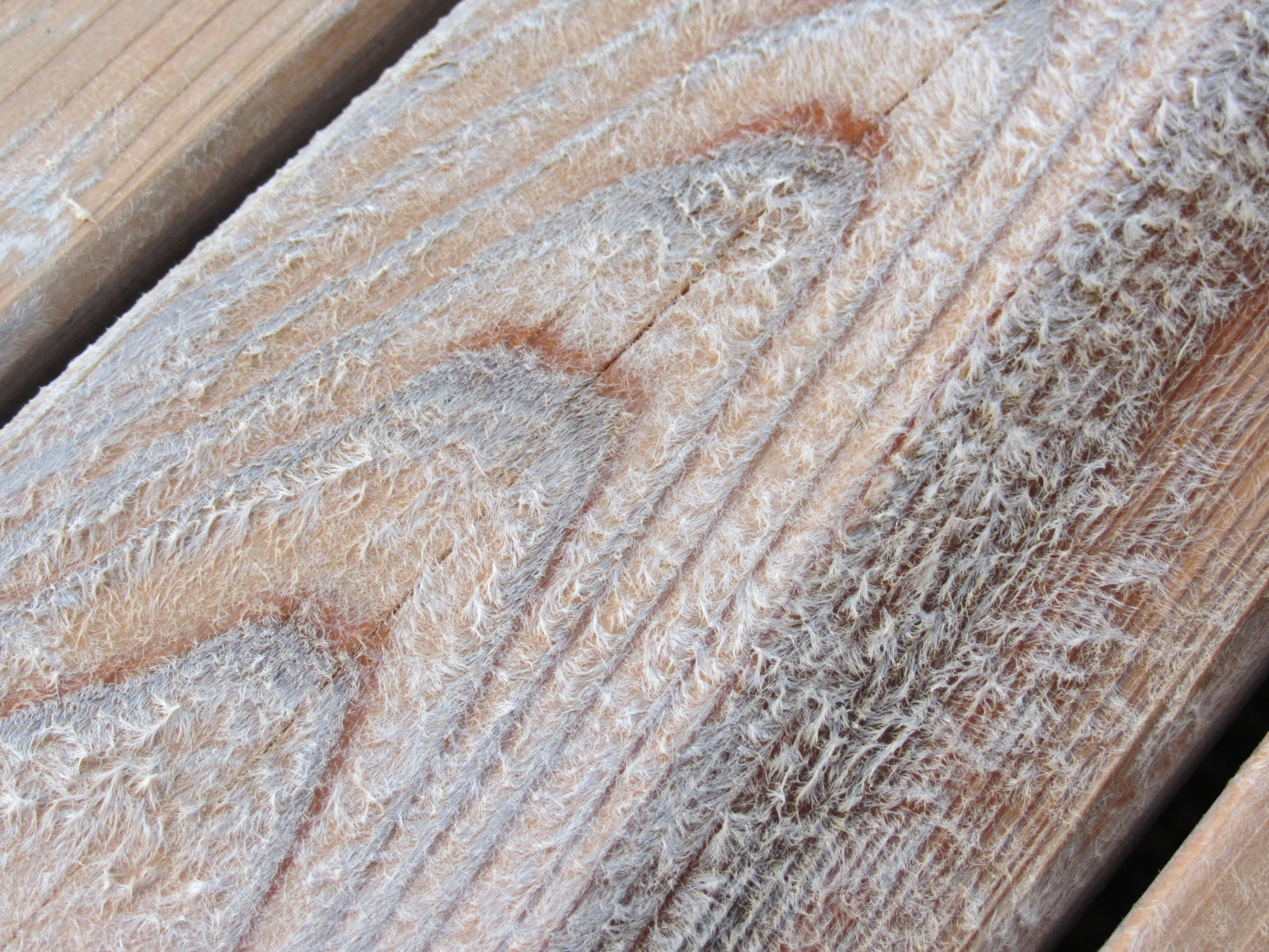 Wood Fuzzies (Furring) on Deck Best Deck Stain Reviews Ratings