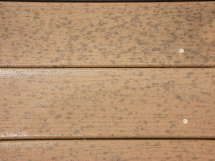 How To Prevent Mold On A Deck Best Deck Stain Reviews Ratings