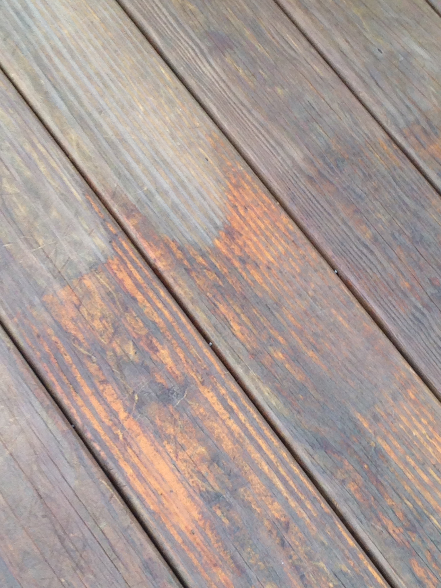 Fading, mold, and more Deck Stain Questions and Answers Deck Stain