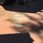 IMG_3826.JPG