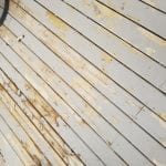 20170618_184901.jpg