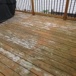 IMG_8844.JPG