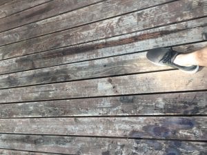 5288E032-F414-40B3-BEDC-C8CFF06D4219.jpeg