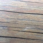 Log at corner to sun - closeup.JPG