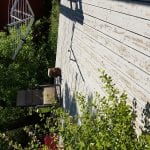 20180524_120357.jpg