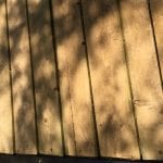 IMG_0427.JPG