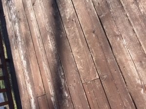 deck 2018.JPG