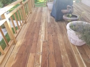 20180610_082920.jpg