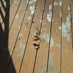 20180627_175818.jpg