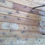 2FA973B3-852A-4BD5-A753-E70094338F41.jpeg