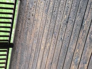 04414E5A-5FA5-413F-88BB-38B3C0BDE157.jpeg