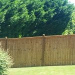 Fence Pic Pine light oak.jpg