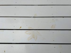Superdeck-solid-stain.jpg