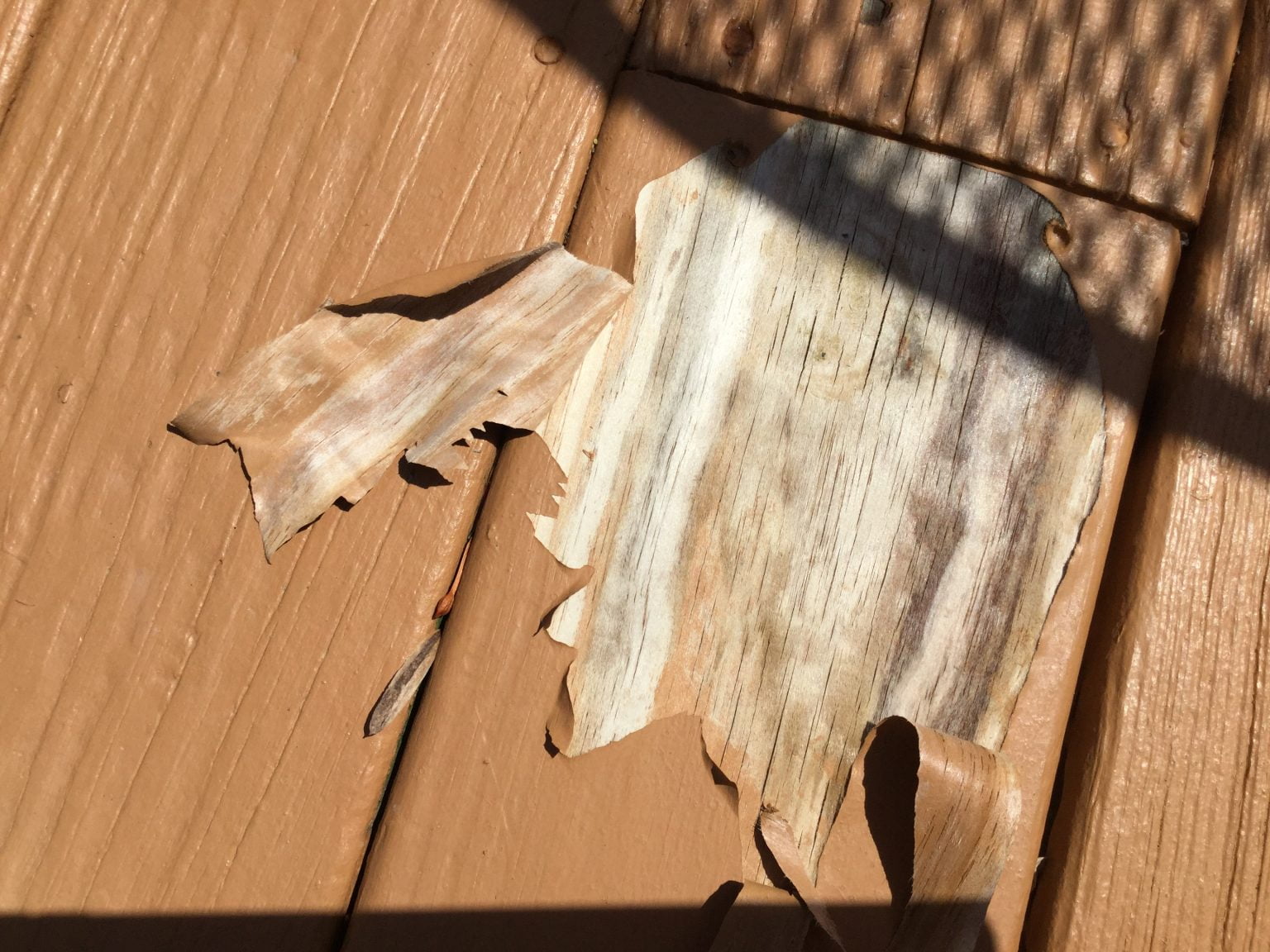Why is My Deck Stain Peeling? Top 3 reasons deck stain peels