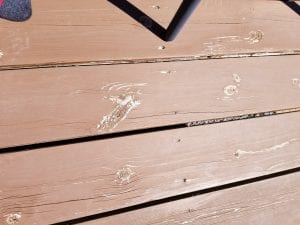 Deck 1.jpg