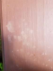D694DC60-69BA-453F-A164-C1041800190D.jpeg