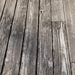 IMG_6400