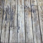 IMG_0913