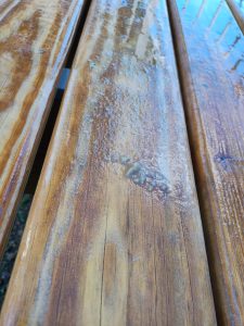 IMG_20260406_172323757