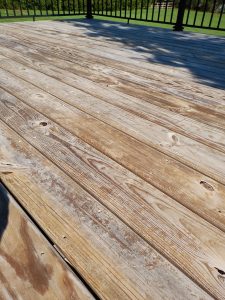 IMG_20260407_095149294