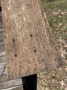 detail-of-railing