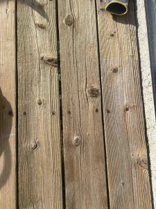 IMG_Deck6637